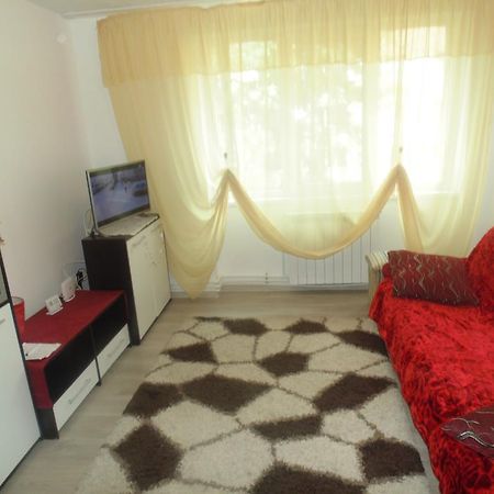 Lary Apartament Suceava Extérieur photo