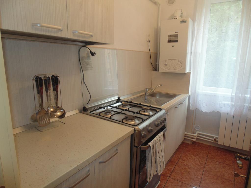 Lary Apartament Suceava Chambre photo